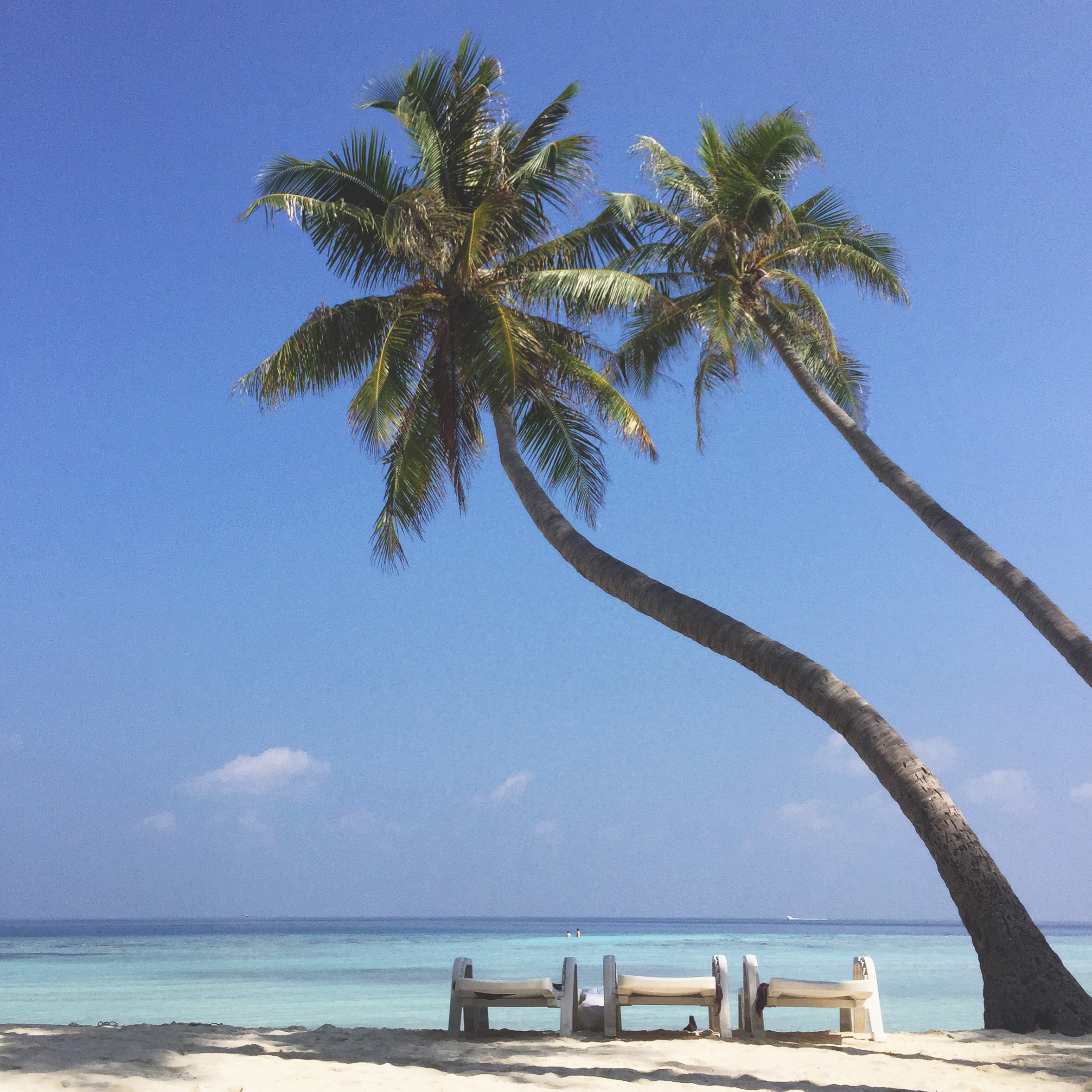 7 Important Things You Should Know Before You Go To Maldives In Press   Anis 1 